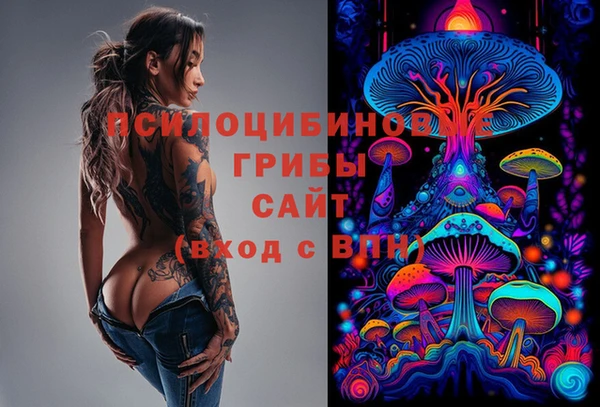 2c-b Майский