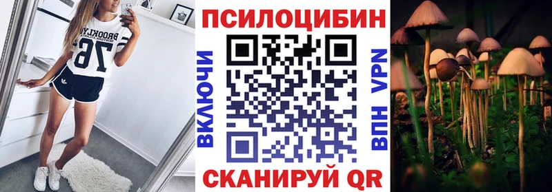 Псилоцибиновые грибы мицелий  Купить закладки  Мамоново 